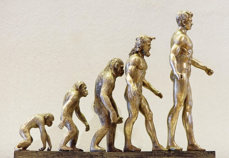 Technology Evolution